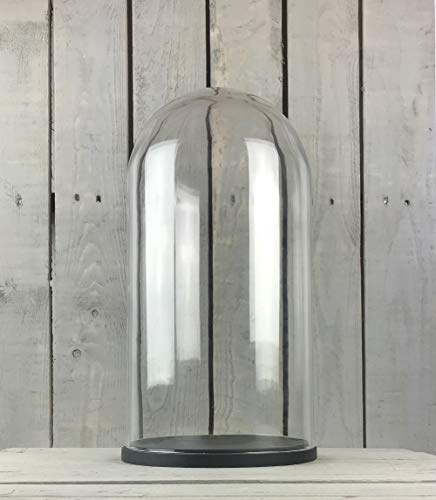 EMH Grande cupola in vetro con base in legno nero, altezza 46 cm