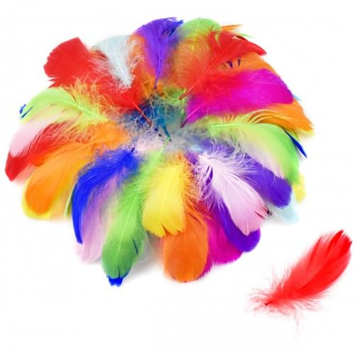 100 Stück Dekofedern - Bunte Bastelfedern aus natürlichen Gänsefedern - Flauschige Handwerksfedern in gemischten Farben und Größen für DIY Kunstprojekte, Party Dekorationen, Hüte und Haarschmuck