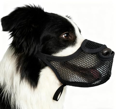 Maulkorb Mittlere Hunde, Nylonmaulkorb Für Hunde Fressschutz Hundmaulkörbe für hundes Atmungsaktiv und Bequem,maulkorb für GroßeHunde Atmungsaktiv und Verstellbar zur Biss- und Fresskontrolle