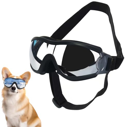 XFSRG Lunettes pour Chiens Masque Enveloppant Lunette Chien de Soleil Lunettes Moto Chiens Lunette de Protection des Yeux pour Chien (M)