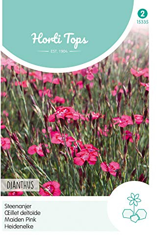 Hortitops 15335 Heidenelke Karminrot (Nelkensamen)