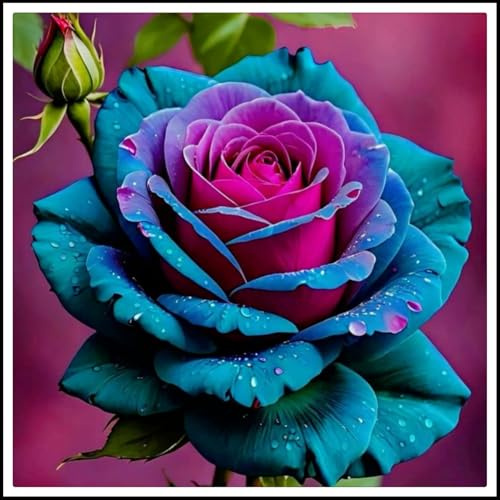Resistente al frío - Vertical - Raíces de rosas- Decoración paisajística para terraza y jardín -/【CXXFGFT】.-2 rizoma-B