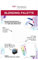 Tombow BLENDING-PAL-L-3P Palette pour le mélange et l’application des couleurs à base d’eau des feutres ABT Dual Brush Pens