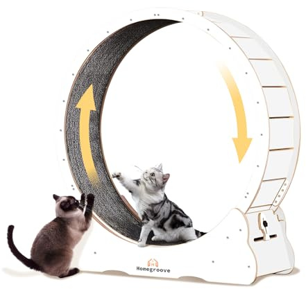 homegroove- Rueda para correr para gatos Homegroove, cinta de correr grande de 45 pulgadas con rueda de ejercicio para gatos XL con pista alfombrada, dispositivo de adelgazamiento para ejercicios, jug