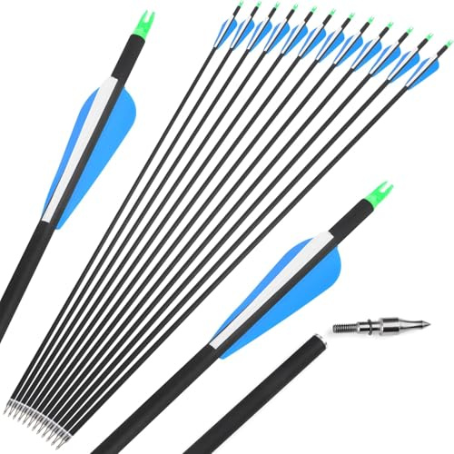 limaity Flecha híbrida de Carbono 31.6 Pulgadas Flechas de Caza Flechas de práctica de Tiro Spine 500 con Tres Pluma de Caucho para Arco recurvo y Arco Compuesto (Estilo C, 6)