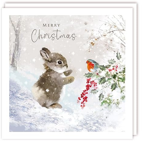 Tracks Publishing Charity julkort - Liten kanin och Robin i snön - Miljövänlig - Paket med 5 kort