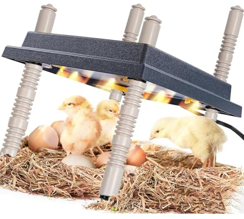 Chick Brooder Heating Plate, 10 x 10 Chick Incubator Heating Lamp, Adjustable Angle and Height Chick Brooder, Safe Incubators With Easy Clean Plate for Chicks/Ducks Thermostat for 15 Chicks (Black)
