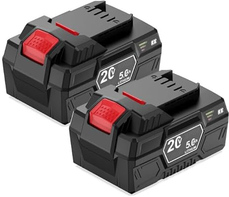 2X 20V 5Ah Ersatzakku für Parkside Pap 20 B1 B3 A1 Werkzeugakku, Kompatibel mit die Gerätereihe X 20V Team