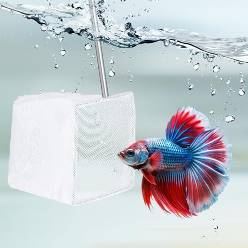 3 Inch Aquarium Fish Net, Fine Mesh Aquarium Net with Extendable Stainless Steel Handle Small Fish Tank Tool for Shrimp, Bettas, Food Residue & Debris Skimming