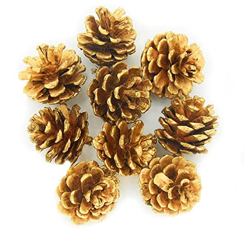CANCJDYTZ Lot de 12 Pommes de pin dorées de Noël de 4,3 cm - Pommes de pin dorées Naturelles for Bricolage, couronnes, guirlandes, décorations d'arbre de Noël, Remplissage de Vase (n° 257)