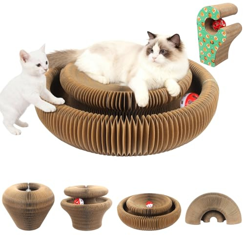 Magic Organ Tiragraffi per gatti | 2 in 1 pieghevole con campanella | Giocattolo interattivo e casetta di cartone per gatti domestici (Grandi dimensioni)