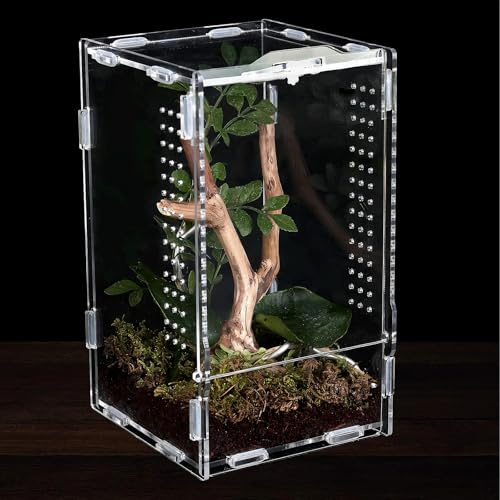 INNAL Terrario Acrílico 11 x 12 x 20 cm Caja de Alimentación para Reptiles Transparente Reptil Acrílico Transparente Terrarios Caja de Alimentación de Insectos para Arañas Lagartos Escorpión