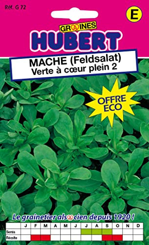 Graines de Mâche Verte à Coeur Plein 2 - Format ECO - 12 grammes
