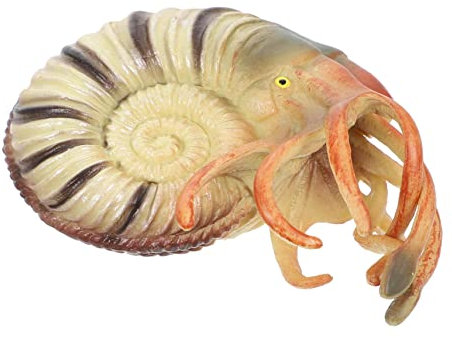 Abaodam Animal Model Toys Plastic Nautilus for Boys and Girls Realistic Sea Creatures Aquarium Decor Educational