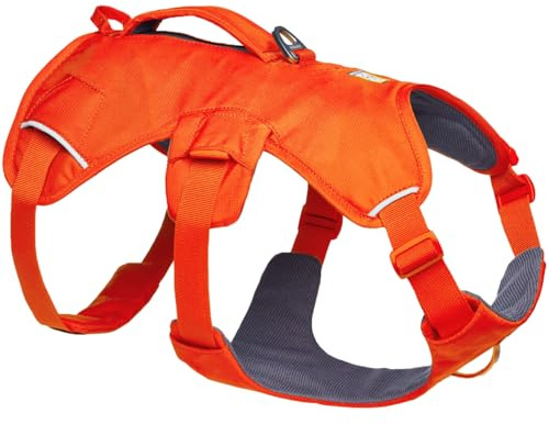 Ruffwear Web Master Dog Harness, Y-Front Dog Harness with Handle & Improved Buckle, Adjustable & Lightweight for Walks & Hikes, Anti Escape, No Pull, Breathable & Comfy, Blaze Orange, Medium