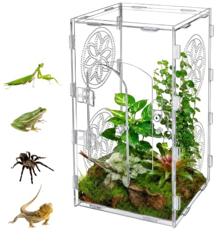 Recinto para arañas de Saltar terrario de acrílico | 30 x 15 x 15 cm, caja de terrario para araña de saltar, mantis religiosa, gecos, ranas, escarabajos