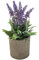 Morbuy Kunstpflanze im Topf Nordic Mini Topfpflanze Realistische Künstliche Blumen Grün Plastik Pflanzen Innen Deko Desktop Bonsai für Balkon, Wohnzimmer, Schlafzimmer Deko (Salbei)