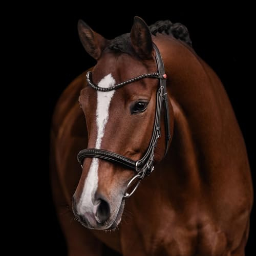 Kieffer Ultrasoft AVA Bitless Bridle Black/Black Lined Horse Size: VB