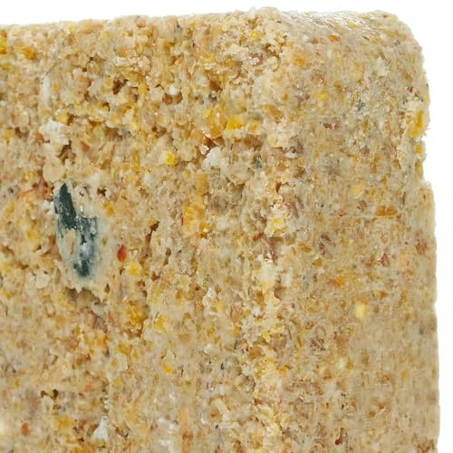 BusyBeaks Suet Fat Blocks | Premium Garden Wild Bird Food | Enhanced Formula | Naturally Blended, High in Energy & Protein-Rich Feed | Full of Nutritious Fat Fibre & Moisture (Mealworm, 5)