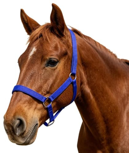 Generisch Knitted halter for adjustable pasture and show accessories