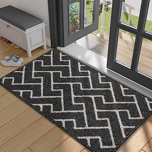 Biscpro Indoor Door Mats,60x90cm Door Mat Non Slip Backing,Dirt Trapper Mat Absorbent Non-Slip Doormat for Entrance,Inside,Kitchen,Front Back Door,Pets and Garden-Black