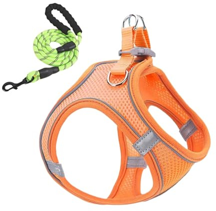 Harness Set - Justerbar anti-dragkombo | reflekterande vadderad bröstrem, lätt andningsbart nät, Quick-release säkerhetsspänne, mjukt grepp, perfekt för dagliga utomhuspromenader