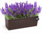 KONZEPT Hochwertige Blumenkasten Rattan-Optik in Braun, rechteckig 56 x 19 cm, Balkonkasten ideal fur Balkon, Terrasse, Fensterbank