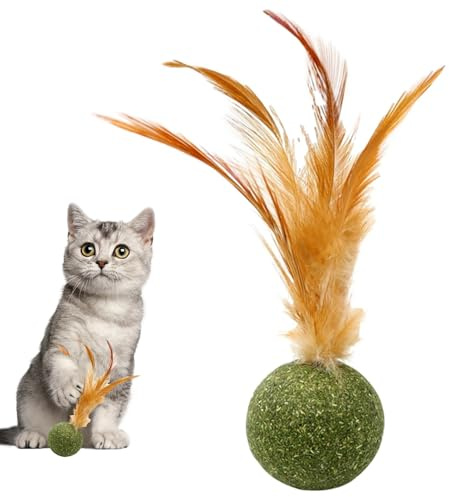 Fmzrbnih Balles d' à Chat pour Chat, Jouet de Dentition avec Queue | Balle énergétique pour Soins dentaires, Exercice, Chasse Contre l'ennui, Stimulation mentale et Jeu intérieur et extérieur