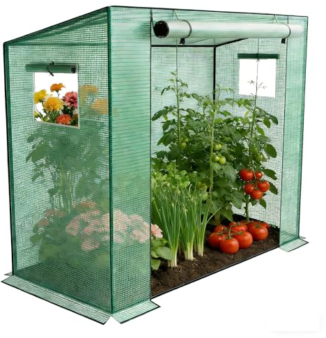 HENGMEI Serra da giardino in zincato, 200 x 80 x 150 cm, Serra per pomodori con finestra, tetto spiovente, per giardino, coltivazione di piante, verde