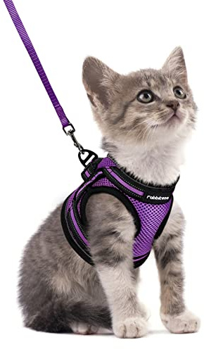 rabbitgoo Cat Harness and Leash Set for Walking Escape Proof, Adjustable Soft Kittens Vest with Reflective Strip for Cats, Comfortable Outdoor Vest, Purple, S