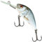 Salmo Hornet Wobbler, Salmo Farben:Real Dace, Länge/Gewicht/Laufverhalten/Tauchtiefe:4cm / 4g / sinkend / 2.0-2.5m