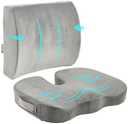 Egret Lendenstützkissen und Sitzkissen für Bürostuhl und Autositz – Memory-Foam-Rückenkissen für Lendenstütze, Schmerzlinderung und Haltungskorrektur, mit verstellbaren Gurten(Grau)