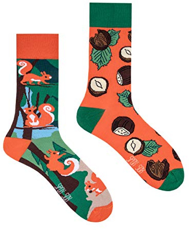 Spox Sox - calcetines coloridos, divertidos y extravagantes - un regalo divertido, 36-39, Ardillas y Avellanas