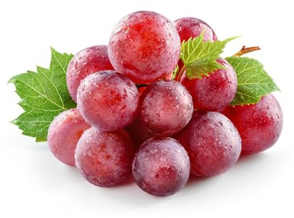 300 pcs weinreben samen - obst samen seed büropflanzen pflanzensamen zimmerpflanzen,trauben kernlos,weintrauben baum pflanzen,Vitis vinifera, gewächshaus balkon ingarden gartenpflanzen