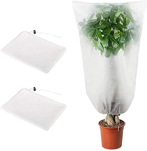 Namvo Lot de 2 housses pour plantes 100 cm x 150 cm avec cordon de serrage Protection contre le gel pour l'hiver Protection contre le gel réutilisable pour plantes de jardin et légumes