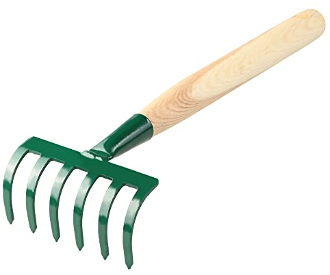 KADAX Petit râteau en métal, râteau avec manche en bois, balai à feuilles, râteau à feuilles caduques, râteau à gazon pour jardin, râteau de jardin, râteau à main, petit balai (6 dents, vert, vert)