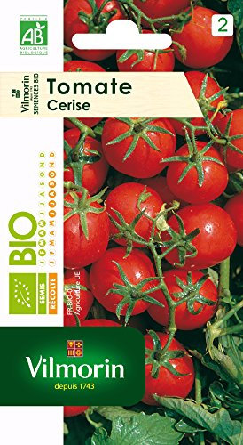 Vilmorin 3961734 Tomate cerise bio Rouge 9 x 0.5 x 16 cm