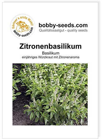 Zitronenbasilikum Kräutersamen Portion