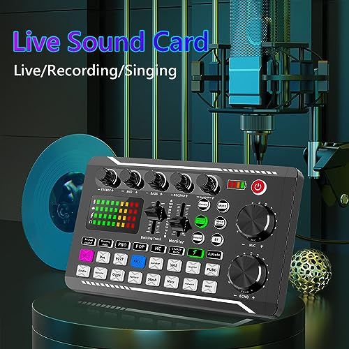 Fesjoy Kit Microfono a Sospensione Professionale Set Scheda e Staffa per Braccio Microfono F998 Scheda Live BM800 a Condensatore Supporto Antiurto Parabrezza Filtro Anti-pop per Registrazione in