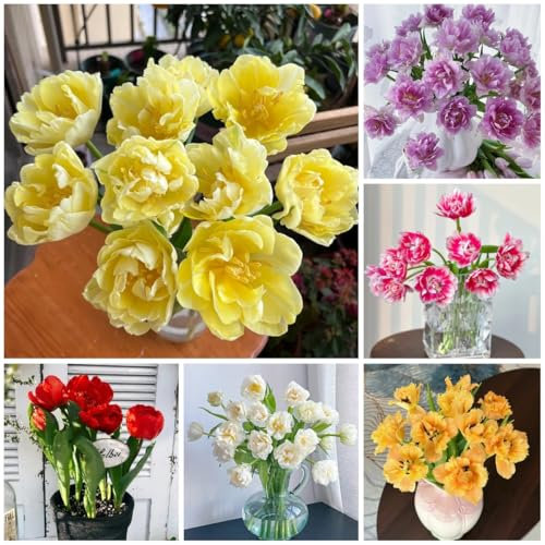 tulpenzwiebeln kaufen - bulbs - tulpenzwiebel, herbstblumen, frühlingsblumen zwiebeln blumenzwiebeln tulpen, blumenzwiebel pflanzer, frühlingsblumen exotische pflanzen winterhart 2pcs