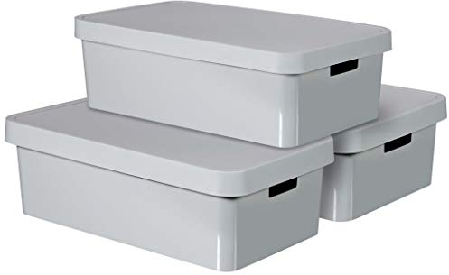 Curver Infinity Aufbewahrungsboxen mit Deckel, Kunststoff, Hellgrau, 30 Liter