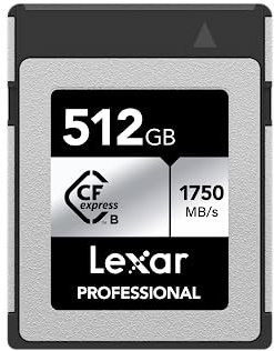 Lexar Professional CFexpress Type-B 512 GB Silver Maximum Read 1750 MB/s Max Write 1.300 MB/s Supports Japanese Manufacturers, LCXEXSL512G-RNENG