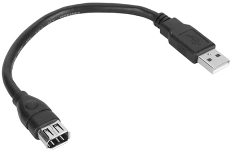 Firewire-Kabel, IEEE 1394 6-polige Buchse auf USB 2.0 AM-Adapterkabel für die Meisten DV-Camcorder, 20 cm