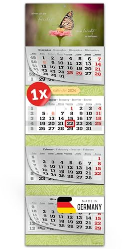 PRIMUS PRINT XXL Calendario 2026 - Calendario da parete a più blocchi - Calendario a 4 mesi - con scorrimento delle date, calendario da appendere - inclusi giorni festivi e vacanze - vari motivi