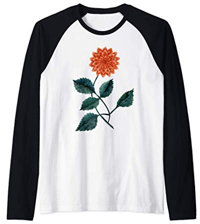 Dahlia fleur plante botanique abeille jardin annuel Manche Raglan