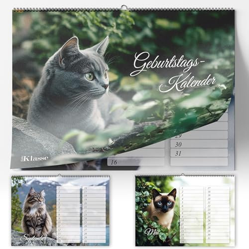 Geburtstagskalender undatiert Geburtstagsplaner Wandkalender A5 immerwährend Jahresunabhängig Kalender Geburtstagsübersicht zum Aufhängen Katze Katzen Design in Tiere Foto Fotokalender