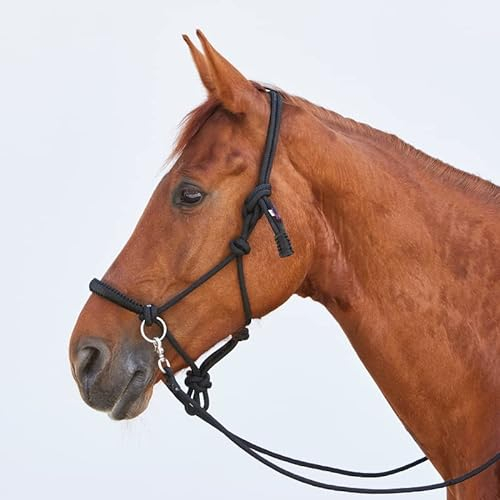 Kieffer Knotenhalfter K_Ruby mit Zügel Größe Warmblut, Farbe schwarz/schwarz