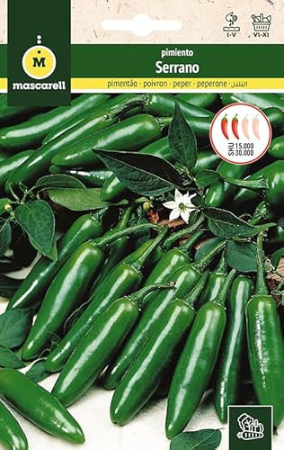 Mascarell Semillas, PIMIENTO, Semillas Huerto, PIMIENTO SERRANO, Crea tu Propio Huerto Urbano y Cultivo en Casa, Plantas Hortícolas, 0,6 Gramos