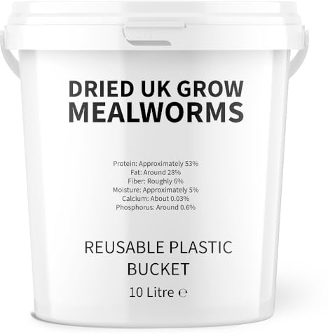 UKGROW 10L Premium value Dried Mealworms for birds 10 litres in a reusable bucket (10L)
