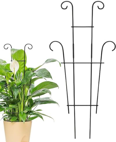 Tuteur pour Grimpanés 60 cm en Fer Robustes Empilables | Treillis pour d'Extérieur pour Jasmin Chèvrefeuille Pois Haricots Fleurs Lierre Pothos